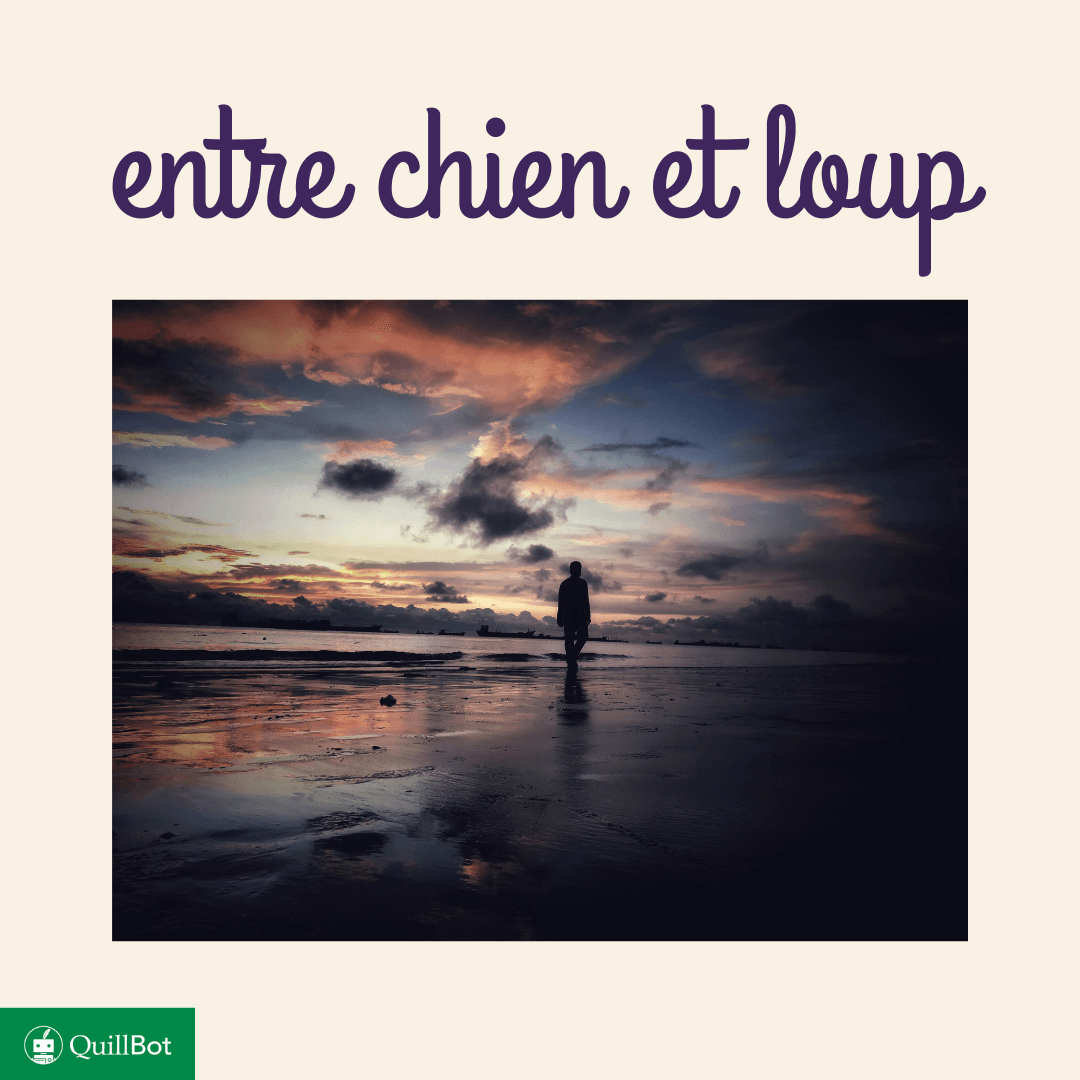entre chien et loup expression
