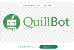 Quillbot free background remover example
