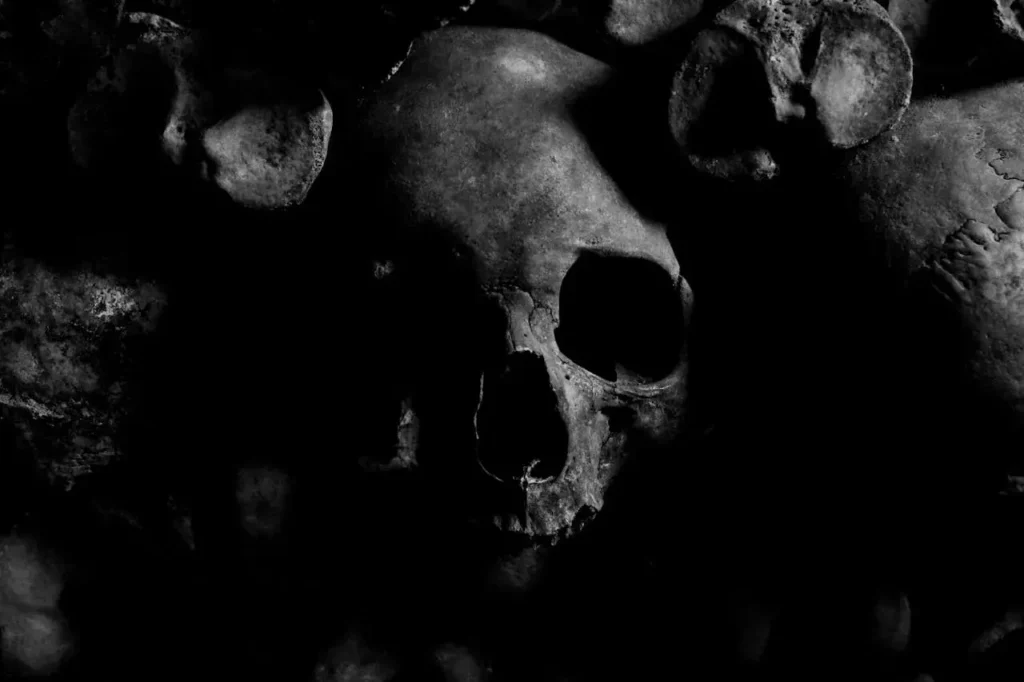 A skull